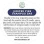 Activated Charcoal Juniper Pine Shampoo Bar