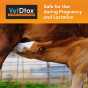 VetDtox™ Powder- 12 lb (5 gal.) Pail (0.7 cu ft)