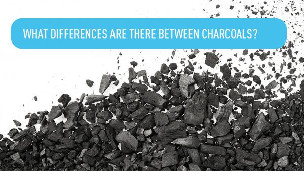 What Is The Difference Between All Your Charcoal Powders?