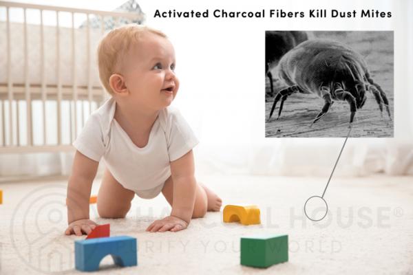 Activated Charcoal Kills Dust Mites