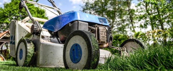 Neutralize Herbicide killing Lawn Grass