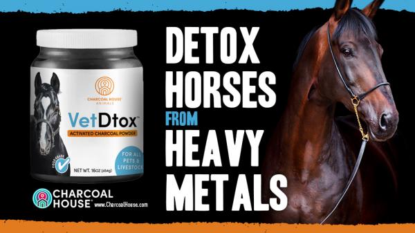 Detoxing Horses from Heavy Metals