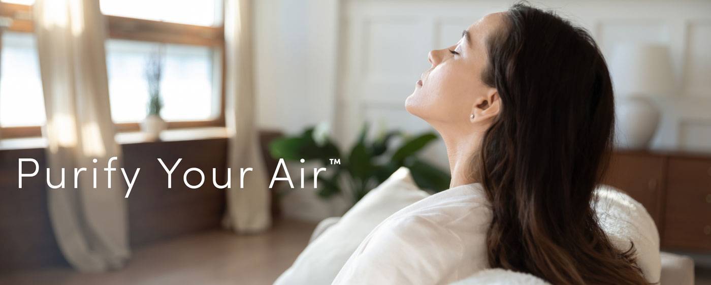 Purify Your Air Photo Banner